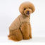 Jacket and Underwear Dog Clothes Autumn and Winter Clothes Small Medium Dog Fleece-lined Thickened Pet Vest Cotton Vest