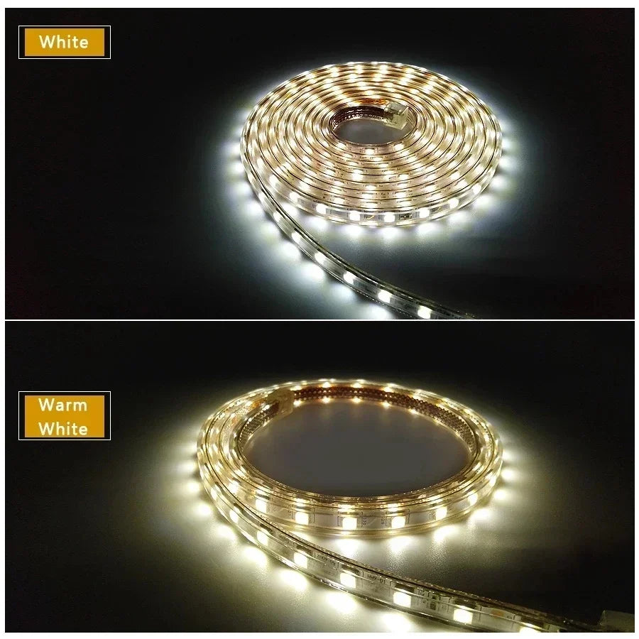 Led Strip Lights 220V Waterproof 1M 2M 3M 5M 10M 20M White Led Tape 220 Volt Red Green Blue Led Lighting 5050 Smd 60Leds/M Diode