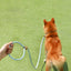 Adjustable Collar Harness Dog Leash Nylon Pet Lead Leash Dog Harness Durable Rope Belt Lightweight Dog Accessories Cat Collar