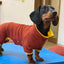 Fashion Red Dachshund Pajamas – Soft Stretch Winter & Spring Clothes for Sausage Dogs