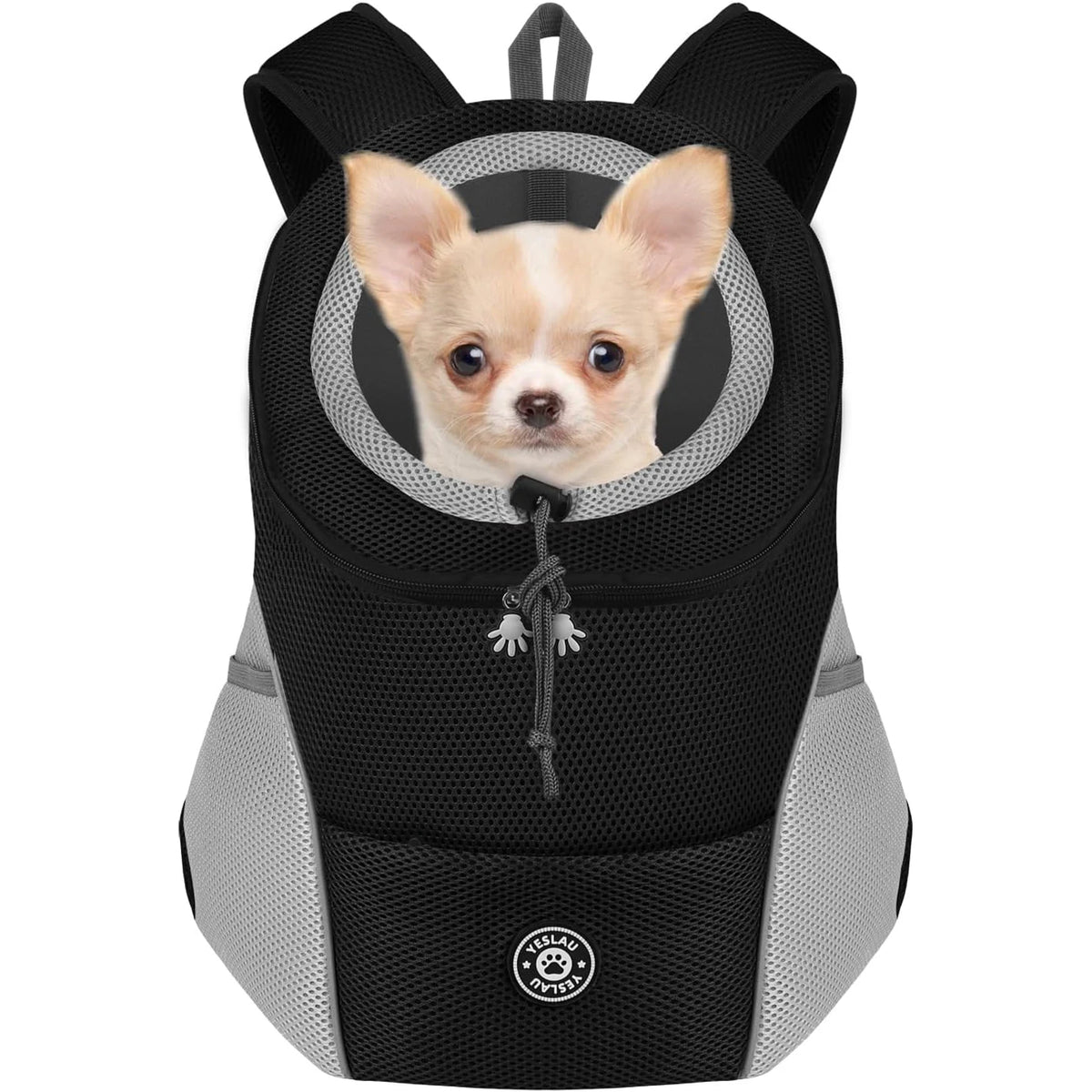 Breathable and Lightweight Backpack