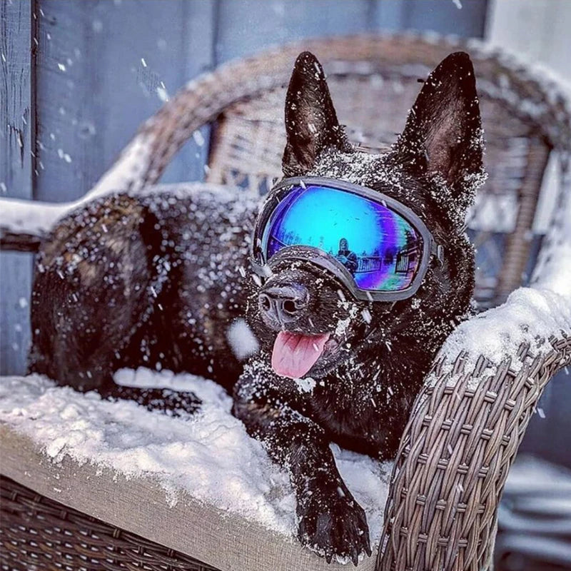 Dog Goggles Sunglasses Anti-UV Sun Glasses Eyewear Protection Adjustable Windproof Sunglasses Pet Dog Supplies For Travel
