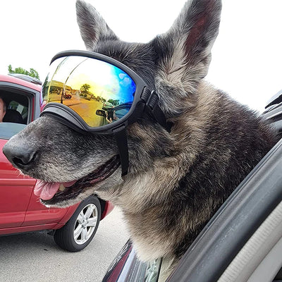 Dog Goggles Sunglasses Anti-UV Sun Glasses Eyewear Protection Adjustable Windproof Sunglasses Pet Dog Supplies For Travel