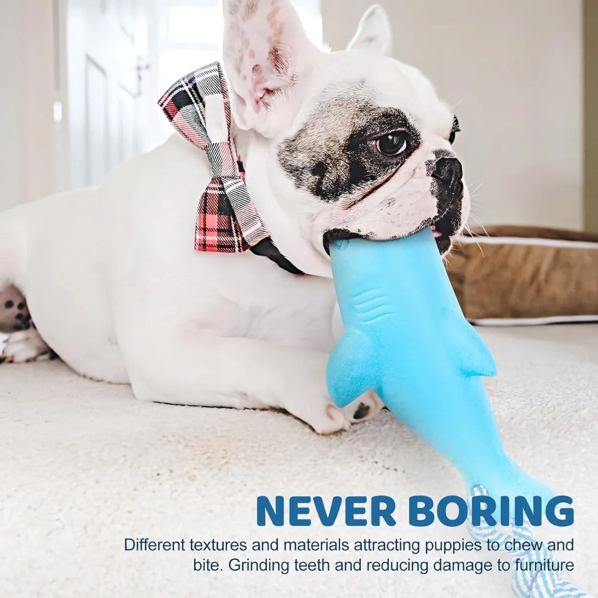 Dog Floating Toy Rubber Non-Toxic Safety Wear-resisting Pool Toy with Rope Summer Outdoors Pet Interactive Fetch&Play Beach Toy