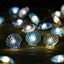 Plastic Lamp Shell String Lights Ocean Series 30 Lights LED Lights Everbright Battery Box Power Supply String Lamp Home/Outdoor