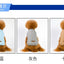 Jacket and Underwear Dog Clothes Autumn and Winter Clothes Small Medium Dog Fleece-lined Thickened Pet Vest Cotton Vest