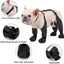 Waterproof Dog Boots Anti-Slip Dog Shoes,Rugged Rubber Sole,Pet Paw Protector, Dirty-Proof&Anti-Fall Dog Outdoor Walking Running