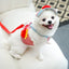 Cartoon Pet Harness Leash Sun Hat Set Cute Kitten Puppy Costume Cat Small Dogs Vest Harness Rope Cap 3pcs Outdoor Pet Supplies