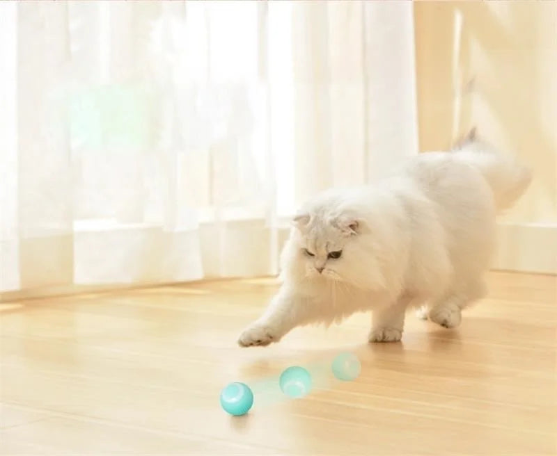 2023 NEW Electric Dog Toys Smart Puppy Ball Toys For Cat Small Dogs Funny Auto Rolling Ball Self-moving Puppy Games Toys Pe