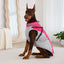 Waterproof Dog Jacket with Harness - Winter Warm Coat for Small & Large Dogs (Labrador, Chihuahua, French Bulldog)