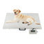 The 80*53 Cm Ultra-thin Pet Hospital All-stainless Steel Large-top Portable Electronic Platform Scale Can Be Recharged