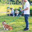 Dog Leash Hands Free Dogs Leash Reflective Leashes for Dog Walking Running Rope 2.4M Long Adjustable Double Leashes Dogs Ropes