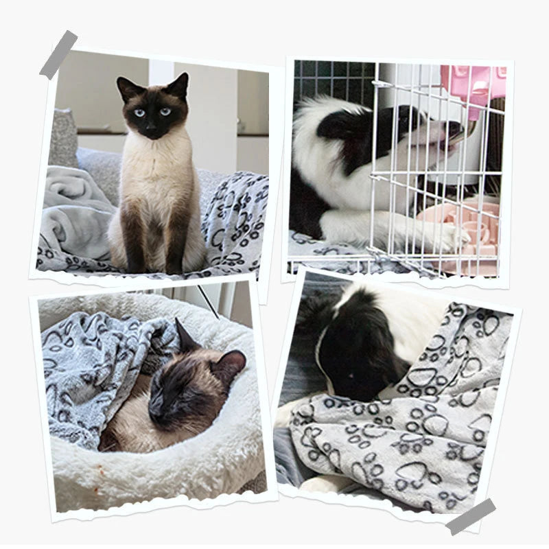 Cat and Dog Pet Blanket Calming Blanket Fluffy Pet Blanket Super Soft Warm Comfort Blanket Cute Pattern Washable Puppy Fur