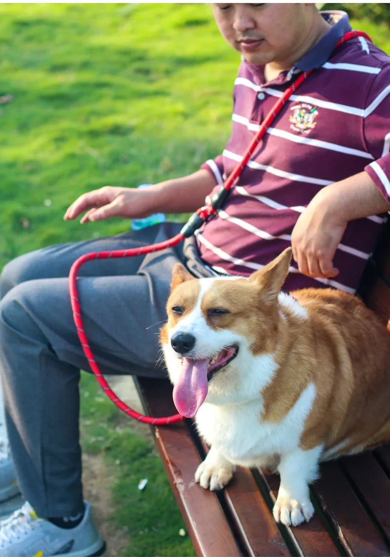Dog Leash Hands Free Dogs Leash Reflective Leashes for Dog Walking Running Rope 2.4M Long Adjustable Double Leashes Dogs Ropes