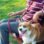 Dog Leash Hands Free Dogs Leash Reflective Leashes for Dog Walking Running Rope 2.4M Long Adjustable Double Leashes Dogs Ropes