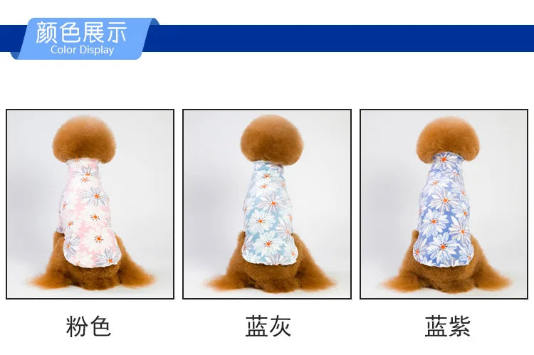 Jacket and Underwear Dog Clothes Autumn and Winter Clothes Small Medium Dog Fleece-lined Thickened Pet Vest Cotton Vest