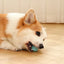 2023 NEW Electric Dog Toys Smart Puppy Ball Toys For Cat Small Dogs Funny Auto Rolling Ball Self-moving Puppy Games Toys Pe