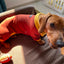 Fashion Red Dachshund Pajamas – Soft Stretch Winter & Spring Clothes for Sausage Dogs