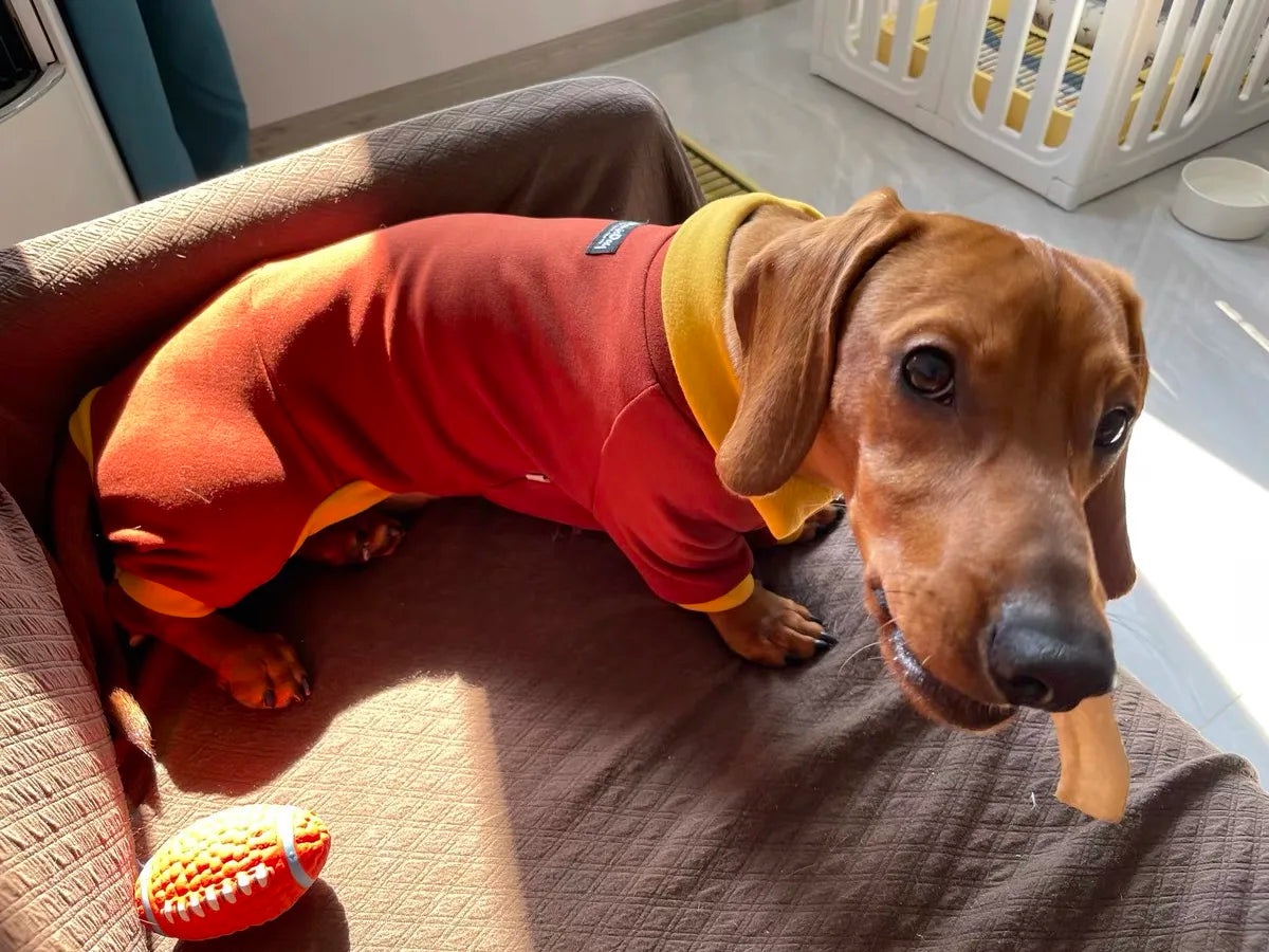 Fashion Red Dachshund Pajamas – Soft Stretch Winter & Spring Clothes for Sausage Dogs