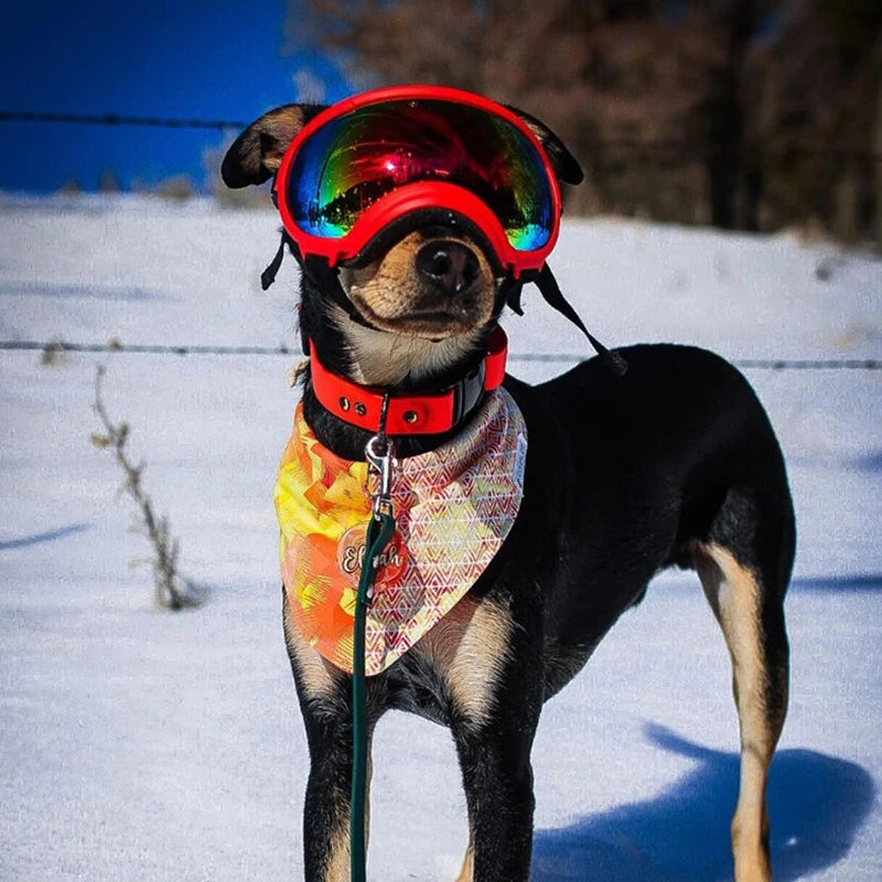 Dog Goggles Sunglasses Anti-UV Sun Glasses Eyewear Protection Adjustable Windproof Sunglasses Pet Dog Supplies For Travel